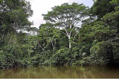 网飞VR游戏《怪奇物语VR》公布全新预告片